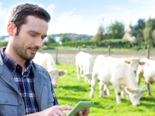 Olcsó húsnak híg a leve? Vesztésre állnak a termelők