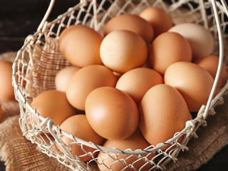 Itt egy nem akármilyen adat a magyar tojásokról – A hét ábrája