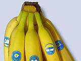 Új arcokat ragasztanak a Chiquita banánjaira