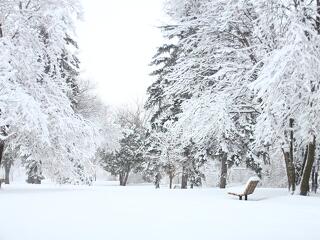 Orosz és amerikai turisták is segítették a magyar szállásokat a jéghideg januárban