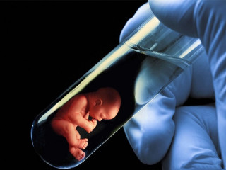 „Nem pártpropagandára, hanem több gyermekre van szükség” – mondja Szelényi Zoltán