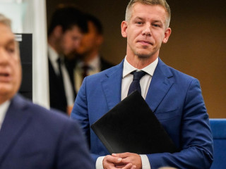 Lehet-e népszerű egy poloska?