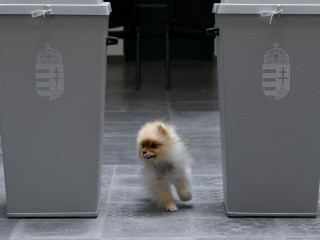 Ezen sok múlhat: itt van két beszédes adatsor az előző választásokról – A hét ábrája