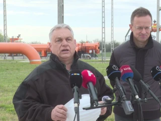 Szerb szakértő: „Vučić segíteni akart Orbánnak”