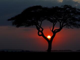 Nyolc magyar állampolgárságú áldozata is van a kenyai légikatasztrófának