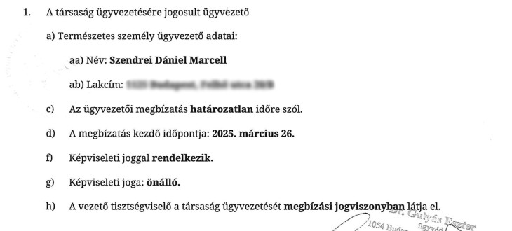 A cégbírósági papírok szerint márciusban kezdte megbízatását