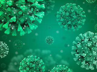 Koronavírus: minden ötödik teszt pozitív lett