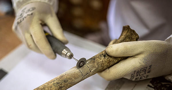 La pregunta más difícil de la historia: ¿Quién es el húngaro? La pregunta más difícil de la historia: ¿Quién es el húngaro?