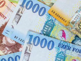 Falnak ütközött a forint?