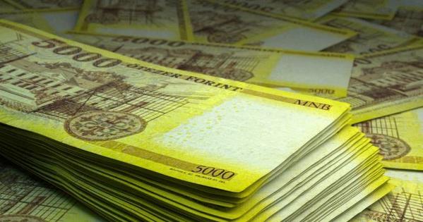 El gobierno de Orbán invirtió 200 millones de HUF en su nueva empresa El gobierno de Orbán invirtió 200 millones de HUF en su nueva empresa