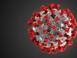 Pécsi kutatóknak sikerült meghatározni a koronavírus teljes genomját