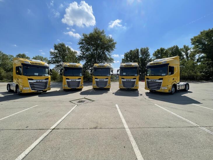 A biztosítási szegmens kitűnően szerepelt
