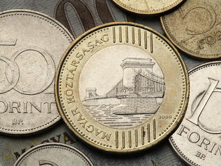Zuhan a forint