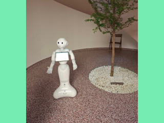 Pepper a robot Angyalföldön 