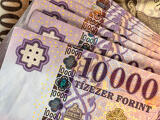 Százmilliós bírságot kapott egy magyarországi üzem