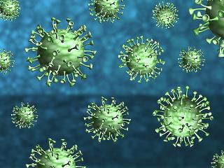 10 ezer fölé emelkedett az összes azonosított koronavírus-fertőzött száma Magyarországon