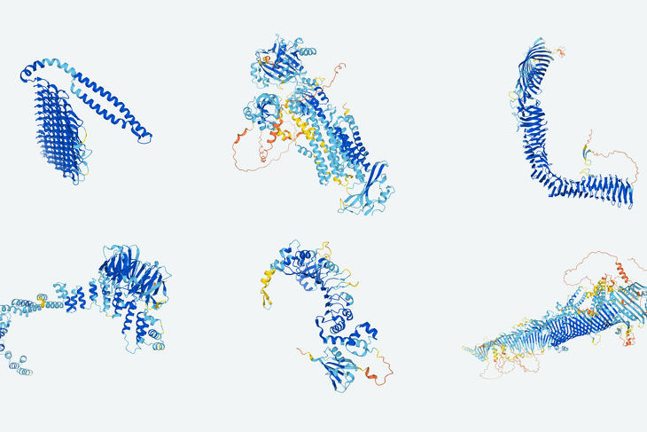 6 a 350 ezerből - feltérképezett emberi fehérjék az AlphaFold adatbázisából (Illusztráció: DeepMind)
