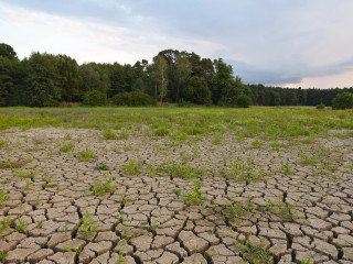 Szárazság