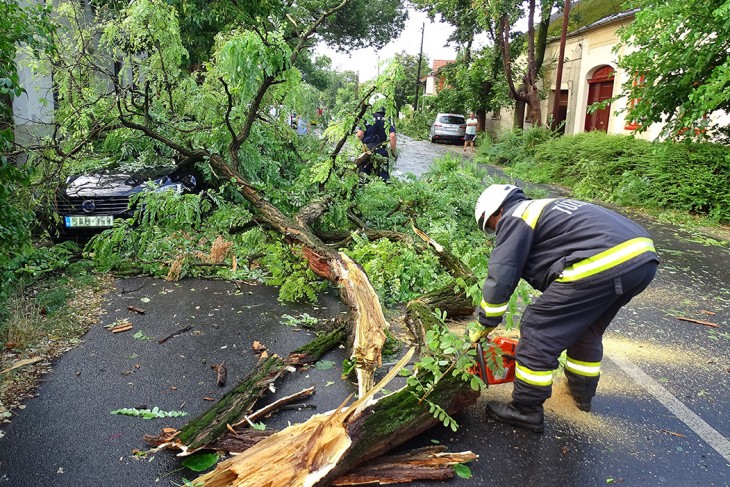 Autóra dőlt fát távolít el az útról egy tűzoltó a vihar után Hódmezővásárhelyen 2023. augusztus 5-én. Fotó: MTI/Donka Ferenc 