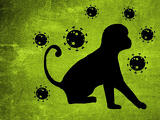 Globális egészségügyi vészhelyzetet hirdetett a WHO a majomhimlő miatt
