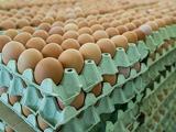 Húsvétkor is még olcsó lesz a tojás és a krumpli - meg persze a csirkefarhát