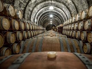 Kiszakadt a Borháló, de van, aki foltozná