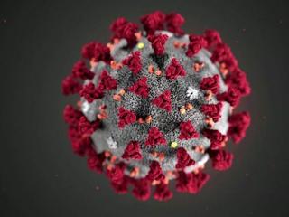 Koronavírus: újabb 64 áldozat