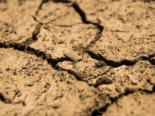 Vízhiány és szárazság: komoly bajban van Magyarország 