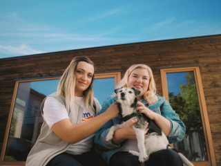 Közösségi kezdeményezéseket, esélyegyenlőséget és környezetvédelmi ügyeket karol fel a dm