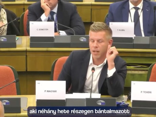 Magyar Péter felszólalása az Európai Parlamentben