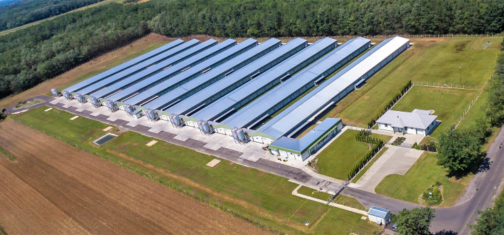 A MasterGood baktalórántházi telephelye.