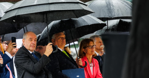 Sulyok Tamás, köztársasági elnöknek, néha el kell a védelem