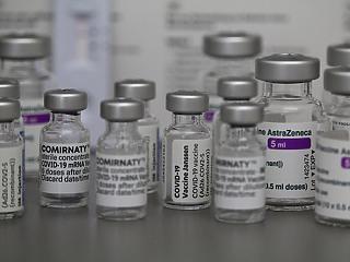 Kanadában elkezdik a vakcinák keresztezését 
