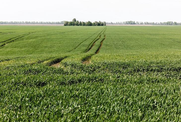 Alig akadt licitáló az árveréseken