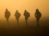 Szakértő: Magyarország nincs felkészülve a migrációs paktum végrehajtására
