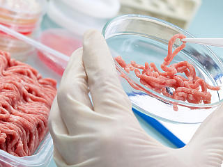 Még 3 év, és éttermekben is felszolgálhatják a laborban tenyésztett húst