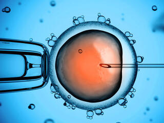 Takács Péternek mégsem sikerült a Katolikus Egyház támogatását megnyernie