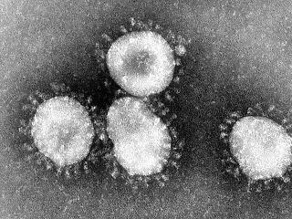 Honnan került elő a koronavírus? Egyre tisztább a kép