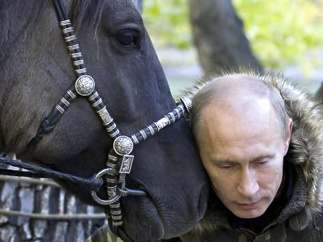 Vlagyimir Putyin a KGB-től az oroszok kedvencéig