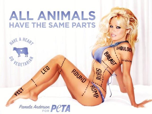 Pamela Anderson jótékony célokért is ledobja a ruháit