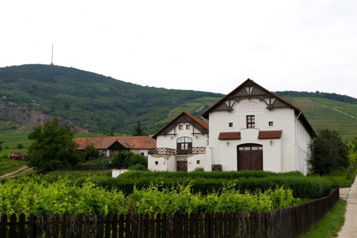 Tokaj-Hegyalja lett a legfenntarthatóbb hazai úticél a 2023-as felmérés szerint. Fotó: Depositphotos