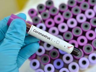 Koronavírus: tömeges tesztet hirdetnek a 60 év felettieknek Budapesten