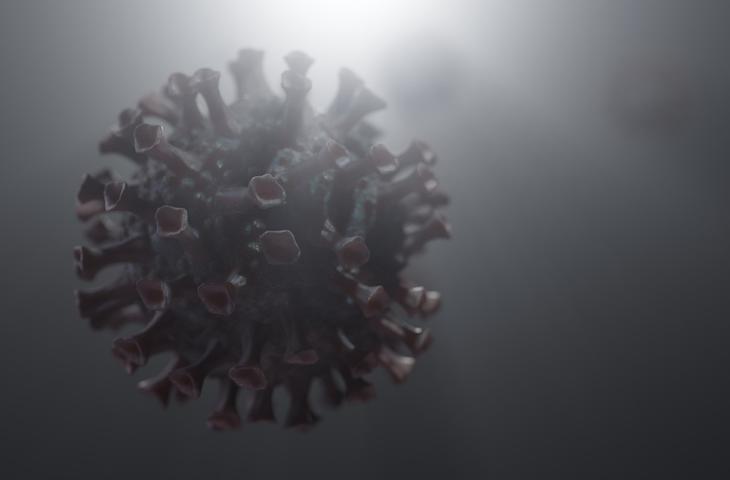 A  genetikai változás a negyedik legfontosabb a koronavírus kockázati tényezői közül
