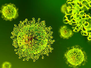 Újabb 73 koronavírus-fertőzött