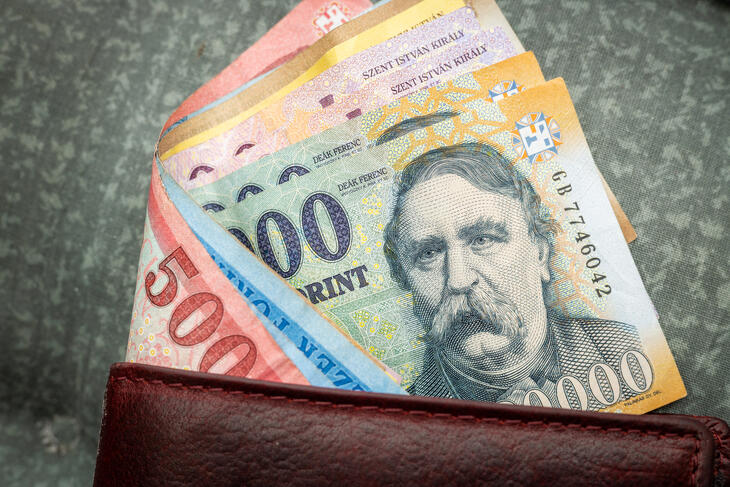 Nemzeti fizetőeszközünk gyengülése gátja a moetáris lazításnak
