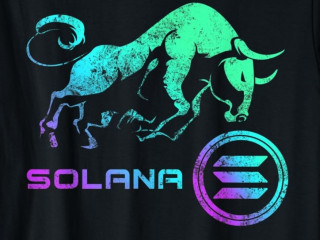 Solana-póló. 