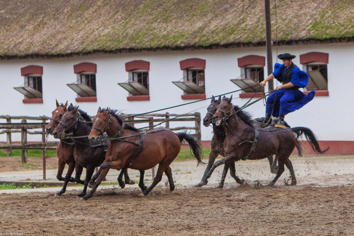 Alföldi lovas romantika 