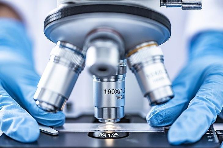 Világszínvonalú orvos-biológiai kutatásban vesz részt a 4iG a Pécsi Tudományegyetemmel karöltve. Fotó: Pixabay