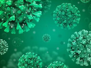 Koronavírus: 8 új fertőzött, de senki nem halt meg