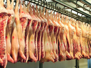 Készülhetnek a magyar gazdák: jelentős áresés a sertéspiacon